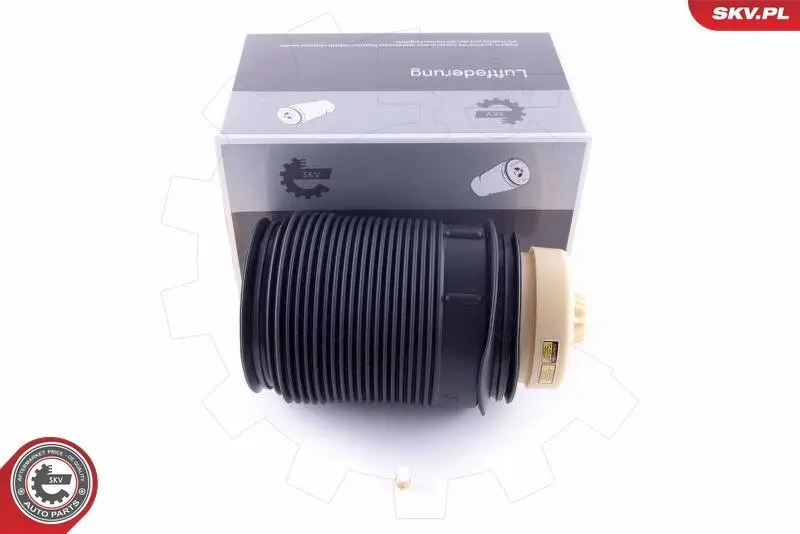 Luftfeder, Fahrwerk Hinterachse rechts ESEN SKV 58SKV012