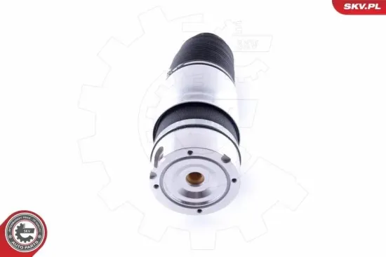 Luftfeder, Fahrwerk Hinterachse ESEN SKV 58SKV035 Bild Luftfeder, Fahrwerk Hinterachse ESEN SKV 58SKV035