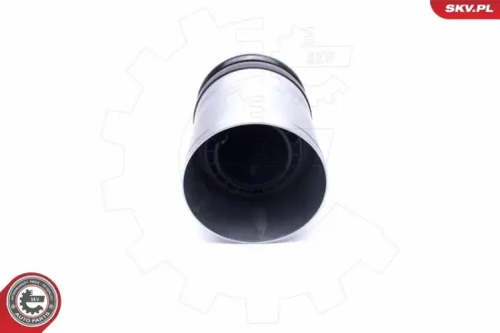 Luftfederbein hinten ESEN SKV 58SKV059 Bild Luftfederbein hinten ESEN SKV 58SKV059