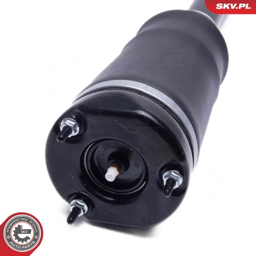 Luftfederbein Vorderachse beidseitig ESEN SKV 58SKV713 Bild Luftfederbein Vorderachse beidseitig ESEN SKV 58SKV713