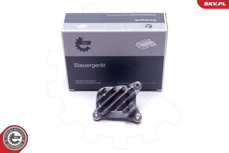 Steuergerät, Beleuchtung ESEN SKV 59SKV133