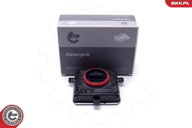 Steuergerät, Beleuchtung ESEN SKV 59SKV166