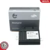Steuergerät, Beleuchtung ESEN SKV 59SKV205