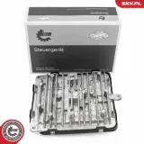 Steuergerät, Beleuchtung ESEN SKV 59SKV281