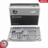 Steuergerät, Beleuchtung ESEN SKV 59SKV316