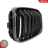 Kühlergitter beidseitig ESEN SKV 66SKV019 Bild Kühlergitter beidseitig ESEN SKV 66SKV019