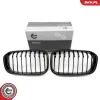 Kühlergitter beidseitig ESEN SKV 66SKV020 Bild Kühlergitter beidseitig ESEN SKV 66SKV020