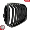 Kühlergitter beidseitig ESEN SKV 66SKV020 Bild Kühlergitter beidseitig ESEN SKV 66SKV020