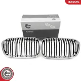 Kühlergitter beidseitig ESEN SKV 66SKV023
