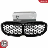 Kühlergitter mitte ESEN SKV 66SKV027