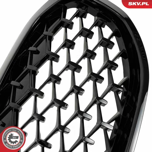 Kühlergitter Mitte ESEN SKV 66SKV027 Bild Kühlergitter Mitte ESEN SKV 66SKV027