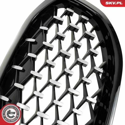 Kühlergitter mitte ESEN SKV 66SKV028 Bild Kühlergitter mitte ESEN SKV 66SKV028