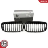 Kühlergitter beidseitig ESEN SKV 66SKV039