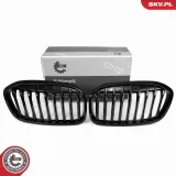 Kühlergitter beidseitig ESEN SKV 66SKV041