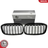 Kühlergitter beidseitig ESEN SKV 66SKV042