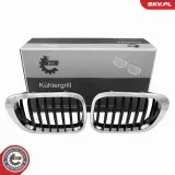 Kühlergitter beidseitig ESEN SKV 66SKV056