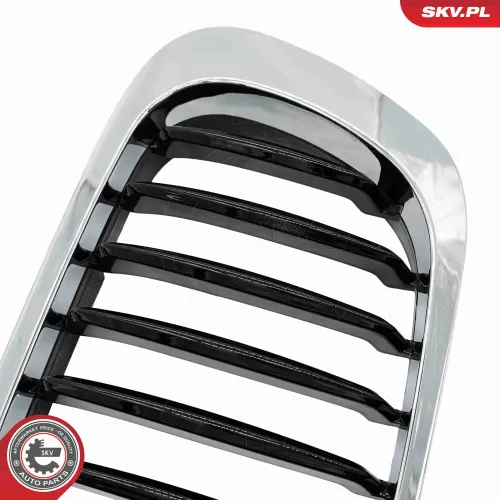 Kühlergitter beidseitig ESEN SKV 66SKV056 Bild Kühlergitter beidseitig ESEN SKV 66SKV056