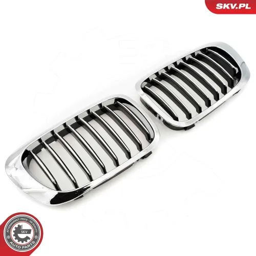 Kühlergitter beidseitig ESEN SKV 66SKV057 Bild Kühlergitter beidseitig ESEN SKV 66SKV057