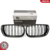 Kühlergitter beidseitig ESEN SKV 66SKV084