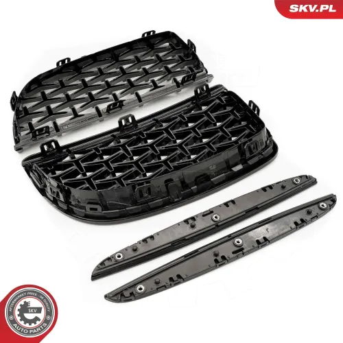 Kühlergitter beidseitig ESEN SKV 66SKV093 Bild Kühlergitter beidseitig ESEN SKV 66SKV093