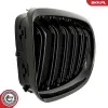 Kühlergitter beidseitig ESEN SKV 66SKV099 Bild Kühlergitter beidseitig ESEN SKV 66SKV099
