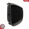 Kühlergitter beidseitig ESEN SKV 66SKV105 Bild Kühlergitter beidseitig ESEN SKV 66SKV105