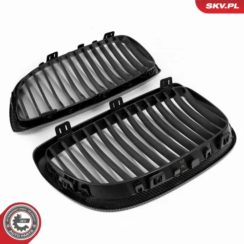 Kühlergitter beidseitig ESEN SKV 66SKV106 Bild Kühlergitter beidseitig ESEN SKV 66SKV106