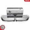 Kühlergitter ESEN SKV 66SKV114 Bild Kühlergitter ESEN SKV 66SKV114