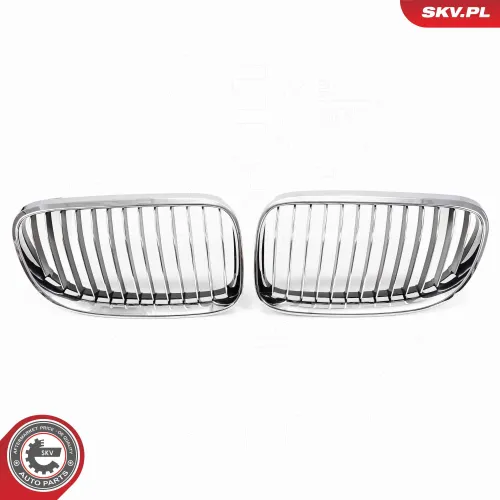 Kühlergitter ESEN SKV 66SKV114 Bild Kühlergitter ESEN SKV 66SKV114