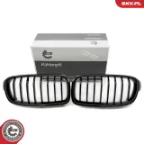 Kühlergitter beidseitig ESEN SKV 66SKV120