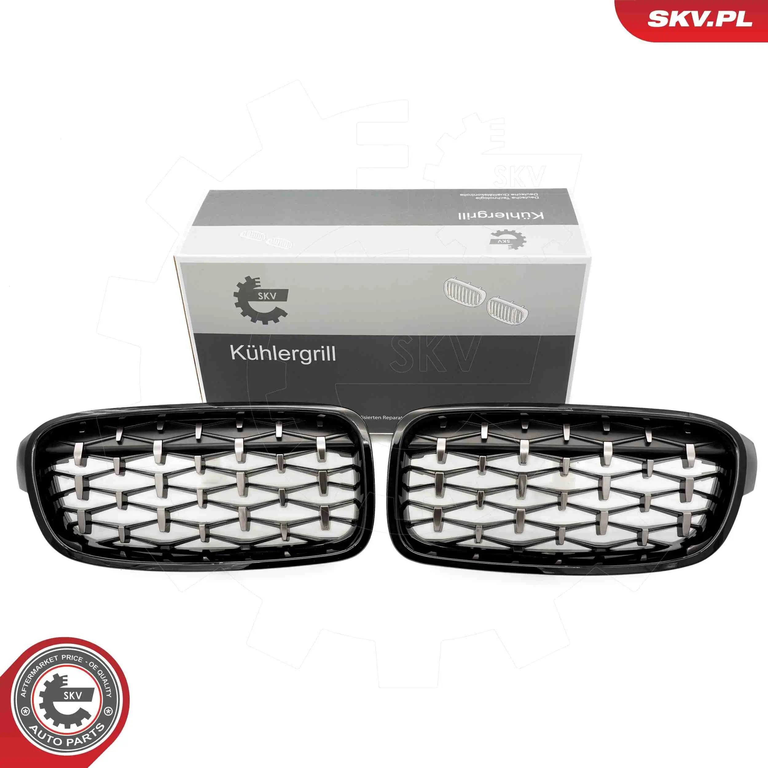 Kühlergitter beidseitig ESEN SKV 66SKV129