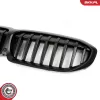 Kühlergitter mitte ESEN SKV 66SKV138 Bild Kühlergitter mitte ESEN SKV 66SKV138