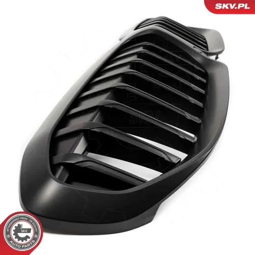 Kühlergitter mitte ESEN SKV 66SKV138 Bild Kühlergitter mitte ESEN SKV 66SKV138