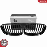 Kühlergitter ESEN SKV 66SKV176