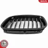 Kühlergitter ESEN SKV 66SKV176 Bild Kühlergitter ESEN SKV 66SKV176