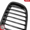 Kühlergitter ESEN SKV 66SKV176 Bild Kühlergitter ESEN SKV 66SKV176