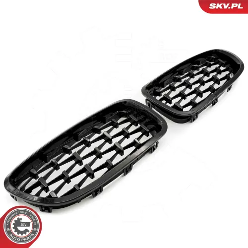 Kühlergitter beidseitig ESEN SKV 66SKV190 Bild Kühlergitter beidseitig ESEN SKV 66SKV190