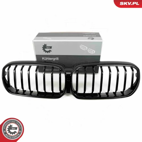 Kühlergitter Mitte ESEN SKV 66SKV201 Bild Kühlergitter Mitte ESEN SKV 66SKV201