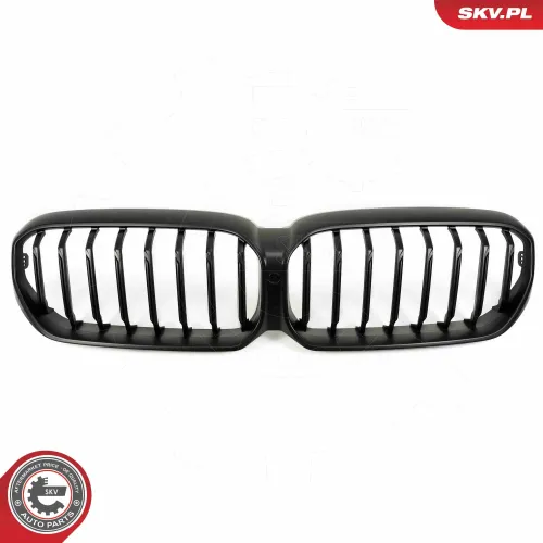 Kühlergitter mitte ESEN SKV 66SKV202 Bild Kühlergitter mitte ESEN SKV 66SKV202