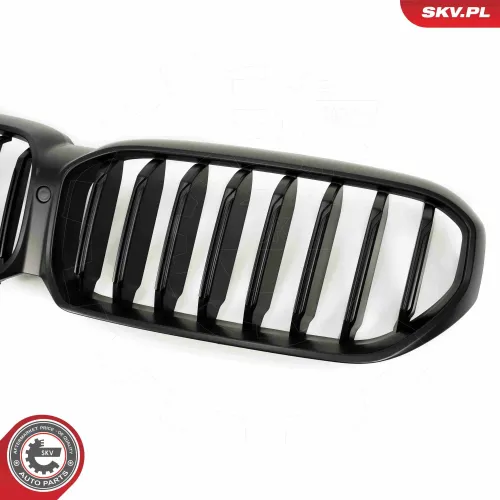 Kühlergitter mitte ESEN SKV 66SKV202 Bild Kühlergitter mitte ESEN SKV 66SKV202