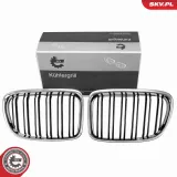 Kühlergitter ESEN SKV 66SKV232