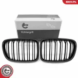 Kühlergitter beidseitig ESEN SKV 66SKV234