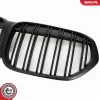 Kühlergitter Mitte ESEN SKV 66SKV244 Bild Kühlergitter Mitte ESEN SKV 66SKV244