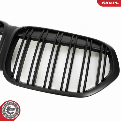 Kühlergitter Mitte ESEN SKV 66SKV244 Bild Kühlergitter Mitte ESEN SKV 66SKV244