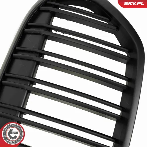 Kühlergitter Mitte ESEN SKV 66SKV244 Bild Kühlergitter Mitte ESEN SKV 66SKV244