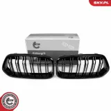 Kühlergitter beidseitig ESEN SKV 66SKV246