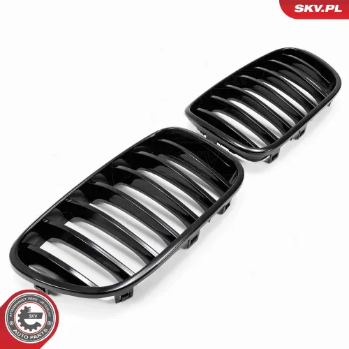 Kühlergitter ESEN SKV 66SKV248 Bild Kühlergitter ESEN SKV 66SKV248