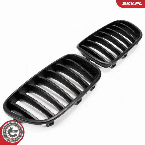 Kühlergitter ESEN SKV 66SKV249 Bild Kühlergitter ESEN SKV 66SKV249