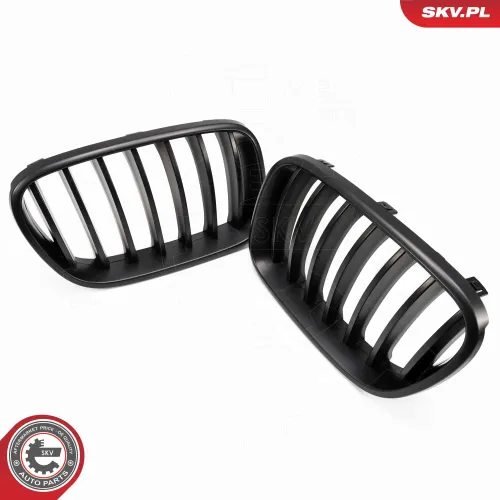 Kühlergitter ESEN SKV 66SKV249 Bild Kühlergitter ESEN SKV 66SKV249