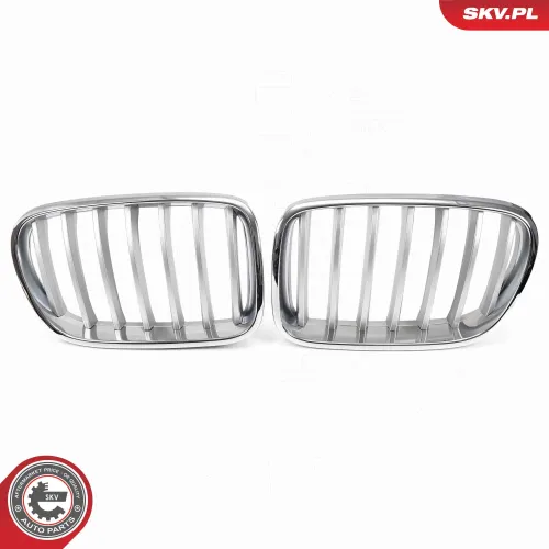 Kühlergitter ESEN SKV 66SKV251 Bild Kühlergitter ESEN SKV 66SKV251